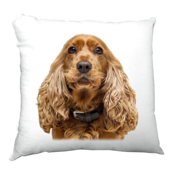 Polštář saténový s potiskem Anglický kokršpaněl 