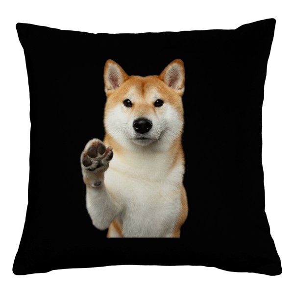 Shiba inu pac